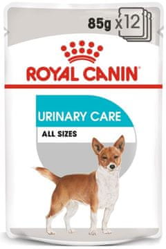 shumee ROYAL CANIN CCN URINARY CARE HLEB 12 x 85 g