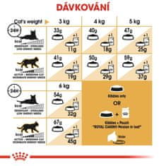 shumee Royal Canin perzijska hrana za odrasle mačke 4 kg