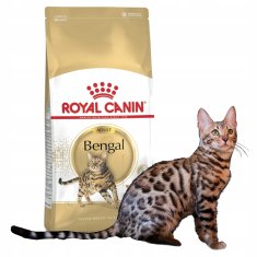 shumee ROYAL CANIN Bengal Adult 2 kg