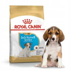 shumee SHN pasma Jack Russ Jun 3 kg