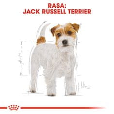 shumee SHN pasma Jack Russ Oglas 1,5 kg