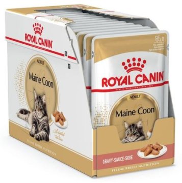 shumee Royal Canin FBN Maine Coon hrana 12 x 85 g