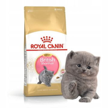 shumee ROYAL CANIN Britanska kratkodlaka mačka 0,4 kg