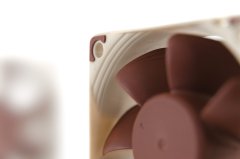 shumee Ventilator NOCTUA NF-A6x25 60x25 mm PWM 5V