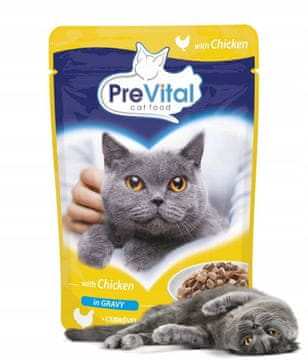 shumee PREVITAL mokra hrana za mačke s piščancem v omaki 100 g