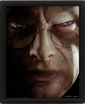 Epee Harry Potter - Harry vs Voldemort 3D slika