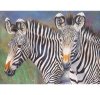 ROYAL Langnickel Slikanje po številkah - zebre
