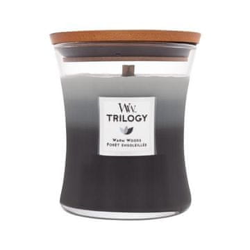 Woodwick Trilogy Warm Woods dišeča svečka