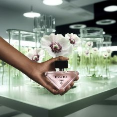 Prada Ženski parfum Prada PRADA PARADOXE