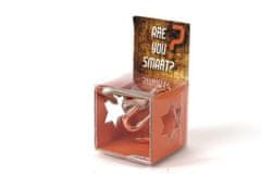 Recent Toys Recenttoys Brainteaser - Ali ste pametni
