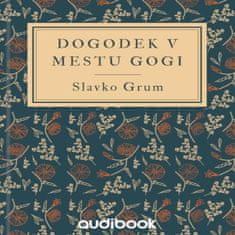 AUDIBOOK Avdio knjiga: "Dogodek v mestu Gogi"