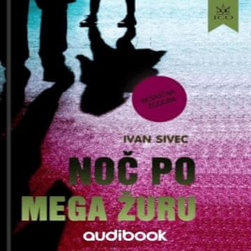 AUDIBOOK Avdio knjiga: "Noč po mega žuru"