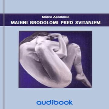 AUDIBOOK Avdio knjiga: "Majhni brodolomi pred svitanjem"