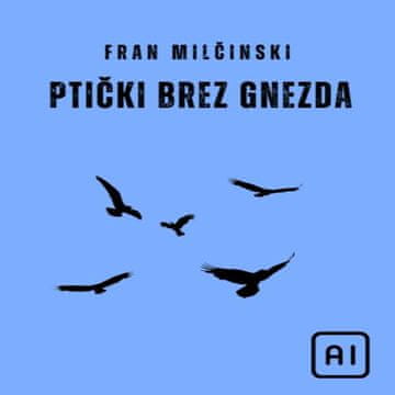 AUDIBOOK Avdio knjiga: "Ptički brez gnezda"