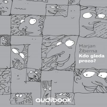 AUDIBOOK Avdio knjiga: "Kdo gleda prozo?"