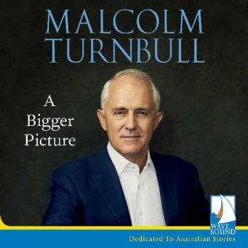AUDIBOOK Avdio knjiga: "A Bigger Picture"