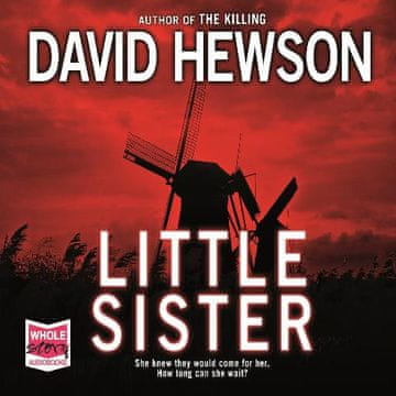 AUDIBOOK Avdio knjiga: "Little Sister"