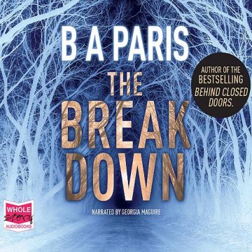 AUDIBOOK Avdio knjiga: "The Breakdown"