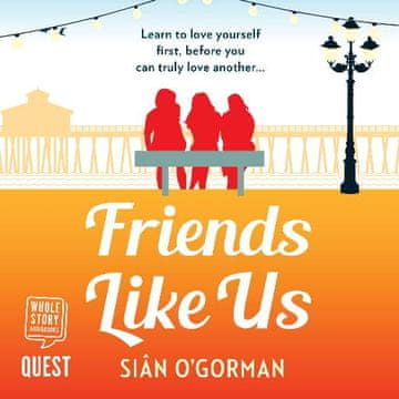 AUDIBOOK Avdio knjiga: "Friends Like Us"