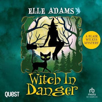 AUDIBOOK Avdio knjiga: "Witch in Danger"