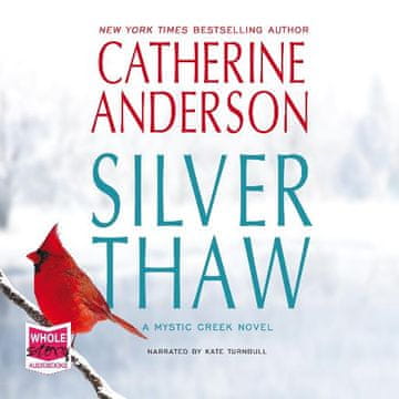 AUDIBOOK Avdio knjiga: "Silver Thaw"