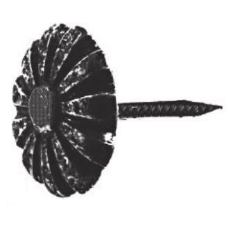 shumee OBLAZINSKI TRAKOVI Z DEKORATIVNO GLAVO 12 MM 085380 - 10 STO - GT 12