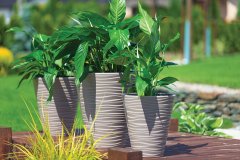 shumee Okrogli cvetlični lonec Sahara Dunes Slim 35 | bel