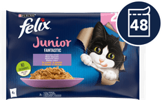 Fantastic Junior mokra hrana za mačke, piščanec in losos v želeju, 48x85g