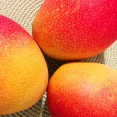 shumee Your Sun Collagen Mango Peach D3 SHOT DRINK 12 paketov za sončenje