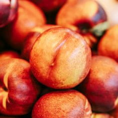 shumee Your Sun Collagen Mango Peach D3 SHOT DRINK 12 paketov za sončenje