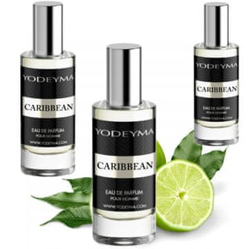 shumee 3x YODEYMA CARIBBEAN 15ML PARFUMSKA VODA ZA MOŠKE