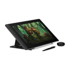 Huion Huion Kamvas Pro 16 GT156 grafična tablica - 15.6" Full HD, IPS