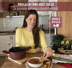 Rosmarino Lonec Rosmarino Lava Stone Grape 3 l - 24 cm