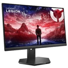 Lenovo Legion 25-10 62,23cm (24,5") FHD IPS 320Hz DP/HDMI HDR10 gaming monitor