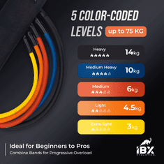 IBX Athletics PREMIUM VADBENE ELASTIKE | 17 DELNI SET | Anti-Snap Varnostna Sredica | Sistem Varnega in Preprostega Vpenjanja (Loop-Hitch) | 100% Malezijski Latex | Za Vadbo Doma | Trening Moči
