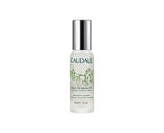 Caudalie Kozmetični eliksir za osvetljen Beauty Elixir ( Smooth ing Glowing Complexion) 30 ml