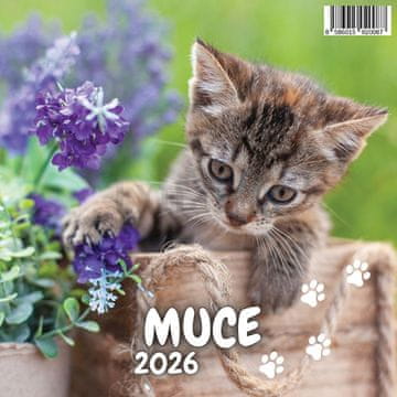 Koledar stenski Muce 2026