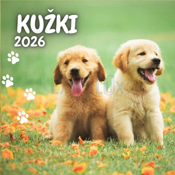 Koledar stenski Kužki 2026