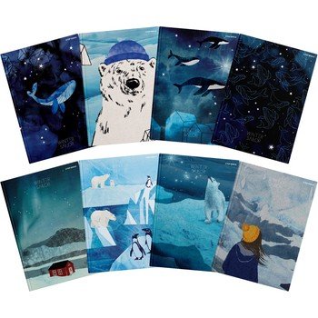 shumee Zvezek Winter Sailor A5 96K z mrežo in zgornjim robom 2000