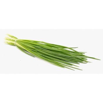 shumee Velik šopek drobnjaka