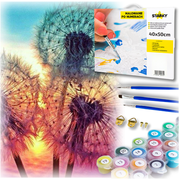 shumee Komplet za slikanje po številkah z okvirjem, kreativna slika, regrat, naredi sam, 40x40