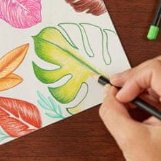 shumee INTENZIVNI SVINČNIKI BX36 8877