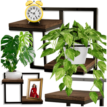 shumee Viseča stenska polica, dvonivojsko industrijsko stojalo za rože za steno dnevne sobe