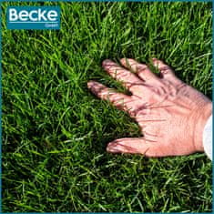 shumee Izravnalnik trate 30x120 cm, jekleni ročni izravnalnik terena