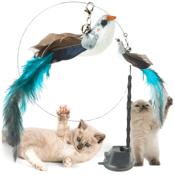 shumee Interaktivna ribiška palica za mačke s priseskom, lahka, super zabavna, hišni ljubljenček PetJet