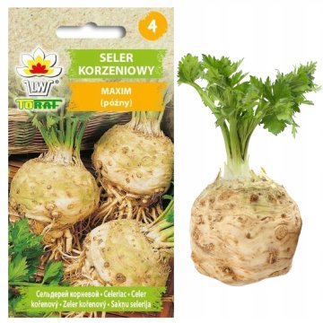 shumee Zelena MAXIM [1g]