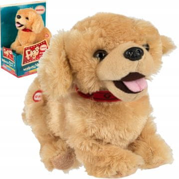 shumee FIGO PES SE ODZIVLJA NA UKAZ 6560