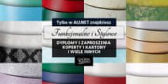 Argo SREBRN BLEŠČIČAST KARTON A4 210G (5) 7541