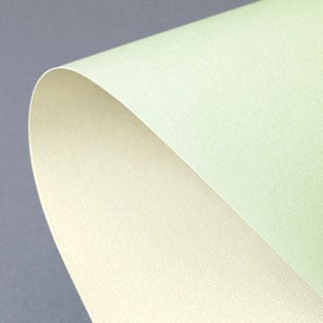 shumee PRIME DEKORATIVNI KARTON ZELENO-KREM 220G/M2 (20)