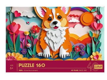 shumee UGANKA 160 40. OBLETNICA TREFL 40050